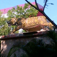 Review Taman Segitiga Macan