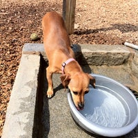 Photo taken at Piedmont Park Small Dog Park by Jessica S. on 3/19/2012