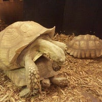 Photo taken at Pet World Lawrence by Anne P. on 12/11/2011