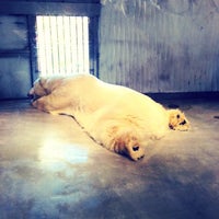 東山動物園 ホッキョクグマ舎 千種区 名古屋市 愛知県