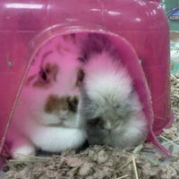 Photo taken at Pet World Lawrence by Camden L. on 1/10/2012