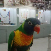 Photo taken at Todd Marcus Birds Exotic by Topanga L. on 4/30/2012