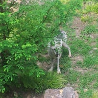 9/2/2012 tarihinde Stephen Z.ziyaretçi tarafından Wolf Valley - Busch Gardens'de çekilen fotoğraf