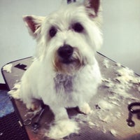 Photo taken at Howlistic Grooming by Jordan D. on 6/26/2012
