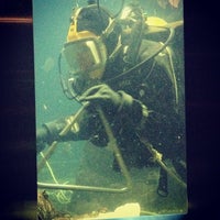 Photo taken at Pacific Undersea Gardens by Donna J. on 10/23/2011