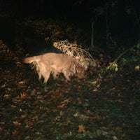 Photo taken at Stiphout Bos by Gooss on 11/8/2011