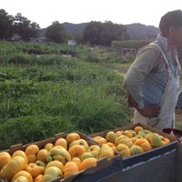 Photo taken at Rio Gozo Farm by Lisa M. on 8/17/2012