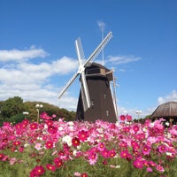 花博記念公園鶴見緑地 鶴見区 個のtips