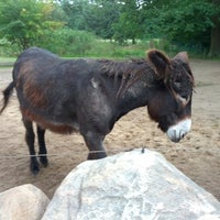 Foto tomada en Tierpark Essehof  por Lutz K. el 7/29/2012
