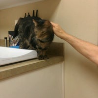 Photo taken at Abrams Forest Veterinary Clinic by Aimee L. on 6/9/2012