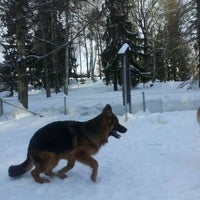 Photo taken at Vanhaistenpuiston koira-aitaus by Myrkky on 2/26/2012