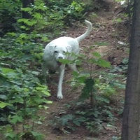 Photo taken at M west Scout&amp;#39;s pooch Park by Nancy G. on 6/9/2012