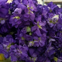 Photo taken at Kennicott Bros. Floral Wholesale by Heather P. on 1/21/2012