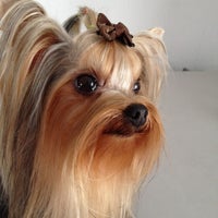 Photo taken at Dogs &amp;amp; Cats Quality Pet Grooming by Sweety H. on 5/31/2012