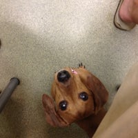 Anne Arundel Veterinary Emergency Clinic 2 Tips From 168 Visitors