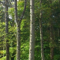 Donadea forest park
