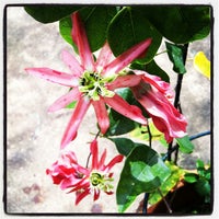 Photo taken at Passiflora Garden by a W. on 6/15/2012