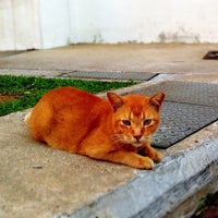 Photo taken at Bus Stop 66331 (Blk 554) by Wales L. on 5/8/2012