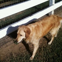 Photos At Cr Ranch American Ave