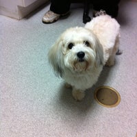 Photo taken at Long Island Veterinary Specialists by Peggy on 2/23/2011