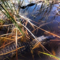 Photo taken at Sawgrass Recreation Park by Mike F. on 5/12/2012