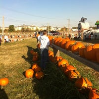 Photo taken at Pumpkin Town by Mark L. on 10/29/2011