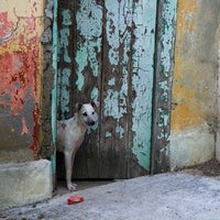 Photo taken at Favela Morro da Providência by Luiz B. on 4/23/2012