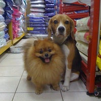 Photo taken at Manoon Pet Shop by Kong on 4/30/2011