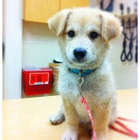 Photo taken at Adler Veterinary Group by Valerie on 8/4/2012