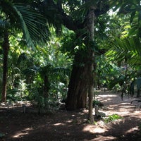 3/11/2012にSteve M.がNancy Foresters Secret Gardenで撮った写真