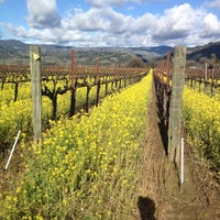 Photo taken at Alexander Valley by Tommy P. on 2/11/2012
