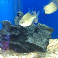 Petbarn Pet Store In Belconnen