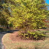 Photo taken at Forest Park Forever by Fabiano G. on 10/23/2011