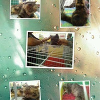 22+ Taman Ular Perlis Pictures