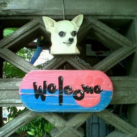 Photo taken at Chihuahua Buabaan Kennel  บ้าน ชิวาวา by Zaazii Z. on 5/25/2011