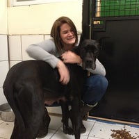 Photo taken at Stray Rescue - 18th Street Shelter by Beth H. on 2/22/2012