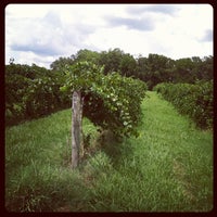 Foto tirada no(a) Still Pond Vineyard, Winery &amp;amp; Distillery por Lindsey S. em 8/5/2012