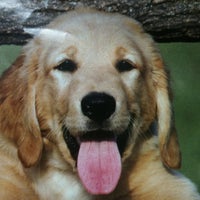 Maverick Animal Clinic Clinica Veterinaria Em Orange Park