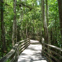 รูปภาพถ่ายที่ Audubon&amp;#39;s Corkscrew Swamp Sanctuary โดย Audubon Florida เมื่อ 8/19/2011