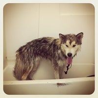 Photo taken at Doggie Bath-O-Matt by Guf G. on 10/14/2011