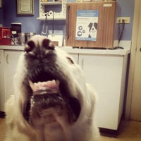 vca hawthorn animal hospital