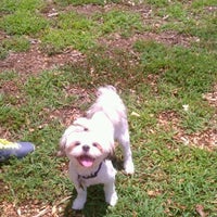 Pitner Road Dog Park Dog Run