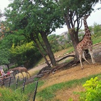 Photo taken at The Giraffe Exhibit by Alisia L. on 7/19/2012