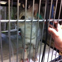 Photo taken at Mount Pleasant Veterinary Centre by Saly S. on 10/9/2011