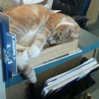 Photo taken at The Cat Doctor by Kimberly J. on 5/29/2012