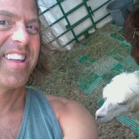 Photo taken at Alpacas by Michael H. on 9/5/2011