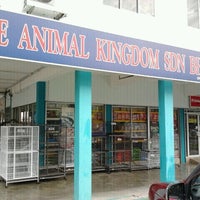 The Animal Kingdom 9 Tips