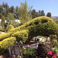 Baron Brothers Nursery Flower Photo Taken At Baron Brothers Nursery By Scott S On 6 2 2017