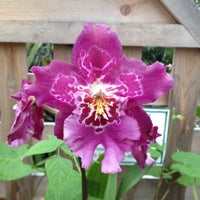 Gardener S Supply Company Garden Center In Williston