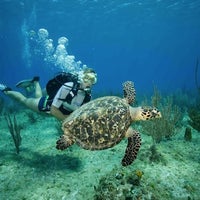 Foto tomada en Living The Dream Divers  por TheScubaDivingDirectory.com el 5/7/2012